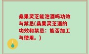桑果灵芝能泡酒吗功效与禁忌(桑果灵芝酒的功效和禁忌：能否加工与使用。)