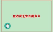 金边灵芝生长期多久