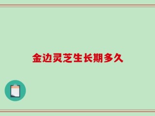 金边灵芝生长期多久
