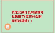 灵芝长到什么时候就可以采摘了(灵芝什么时候可以采摘？)