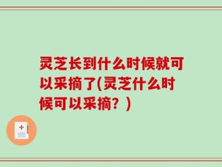 灵芝长到什么时候就可以采摘了(灵芝什么时候可以采摘？)
