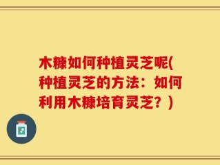 木糠如何种植灵芝呢(种植灵芝的方法：如何利用木糠培育灵芝？)