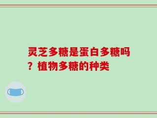 灵芝多糖是蛋白多糖吗？植物多糖的种类