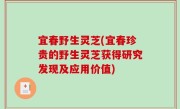 宜春野生灵芝(宜春珍贵的野生灵芝获得研究发现及应用价值)