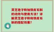 灵芝孢子粉加铁皮石斛的功效与使用方法？详解灵芝孢子粉和铁皮石斛的搭配效果？