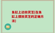 鱼缸上边放灵芝(在鱼缸上摆放灵芝的正确方法)