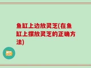 鱼缸上边放灵芝(在鱼缸上摆放灵芝的正确方法)