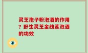 灵芝孢子粉泡酒的作用？野生灵芝金线莲泡酒的功效