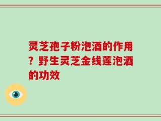 灵芝孢子粉泡酒的作用？野生灵芝金线莲泡酒的功效