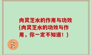 肉灵芝水的作用与功效(肉灵芝水的功效与作用，你一定不知道！)