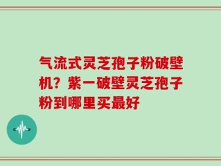 气流式灵芝孢子粉破壁机？紫一破壁灵芝孢子粉到哪里买最好
