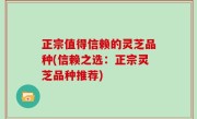 正宗值得信赖的灵芝品种(信赖之选：正宗灵芝品种推荐)