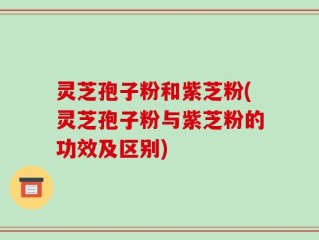 灵芝孢子粉和紫芝粉(灵芝孢子粉与紫芝粉的功效及区别)