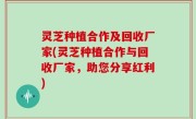 灵芝种植合作及回收厂家(灵芝种植合作与回收厂家，助您分享红利)