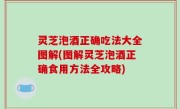 灵芝泡酒正确吃法大全图解(图解灵芝泡酒正确食用方法全攻略)
