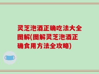 灵芝泡酒正确吃法大全图解(图解灵芝泡酒正确食用方法全攻略)