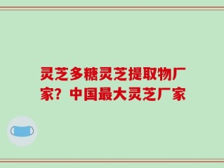 灵芝多糖灵芝提取物厂家？中国最大灵芝厂家