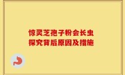 惊灵芝孢子粉会长虫 探究背后原因及措施