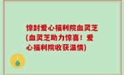 惊封爱心福利院血灵芝(血灵芝助力惊喜！爱心福利院收获温情)
