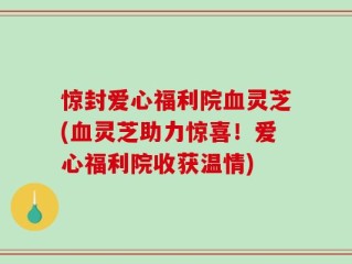 惊封爱心福利院血灵芝(血灵芝助力惊喜！爱心福利院收获温情)