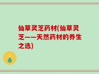 仙草灵芝药材(仙草灵芝——天然药材的养生之选)