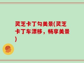 灵芝卡丁勾美景(灵芝卡丁车漂移，畅享美景)