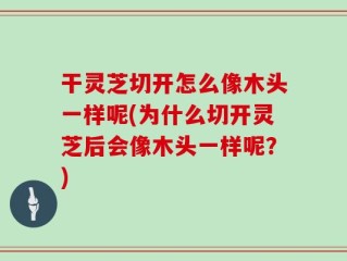 干灵芝切开怎么像木头一样呢(为什么切开灵芝后会像木头一样呢？)
