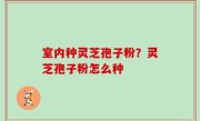 室内种灵芝孢子粉？灵芝孢子粉怎么种