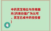 中药灵芝地位与作用图片(药用价值广为认可，灵芝已成中药佼佼者)