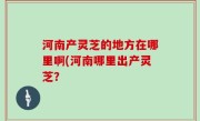河南产灵芝的地方在哪里啊(河南哪里出产灵芝？