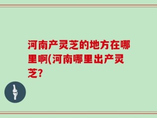 河南产灵芝的地方在哪里啊(河南哪里出产灵芝？