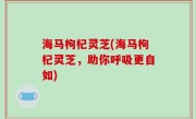 海马枸杞灵芝(海马枸杞灵芝，助你呼吸更自如)