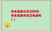 养鱼箱里长灵芝好吗(养鱼箱里养灵芝有益吗？)