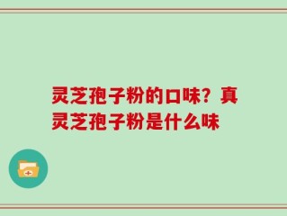 灵芝孢子粉的口味？真灵芝孢子粉是什么味