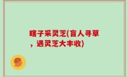 瞎子采灵芝(盲人寻草，遇灵芝大丰收)