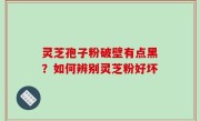 灵芝孢子粉破壁有点黑？如何辨别灵芝粉好坏