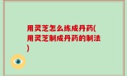 用灵芝怎么练成丹药(用灵芝制成丹药的制法)