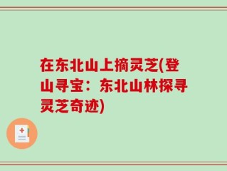 在东北山上摘灵芝(登山寻宝：东北山林探寻灵芝奇迹)