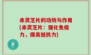 赤灵芝片的功效与作用(赤灵芝片：强化免疫力，提高抵抗力)
