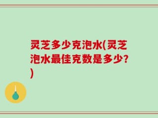 灵芝多少克泡水(灵芝泡水最佳克数是多少？)