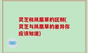 灵芝和凤凰草的区别(灵芝与凤凰草的差异你应该知道)