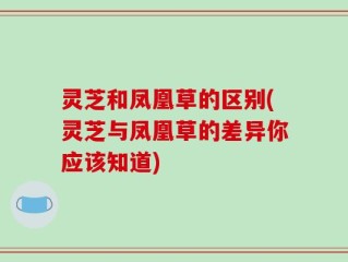 灵芝和凤凰草的区别(灵芝与凤凰草的差异你应该知道)