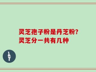 灵芝孢子粉是丹芝粉？灵芝分一共有几种