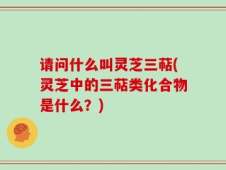 请问什么叫灵芝三萜(灵芝中的三萜类化合物是什么？)