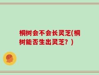 桐树会不会长灵芝(桐树能否生出灵芝？)