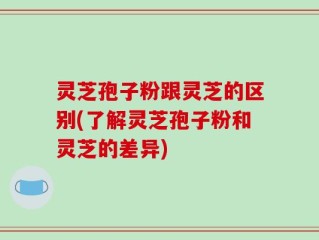 灵芝孢子粉跟灵芝的区别(了解灵芝孢子粉和灵芝的差异)