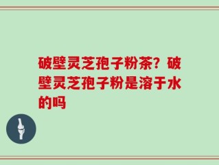 破壁灵芝孢子粉茶？破壁灵芝孢子粉是溶于水的吗