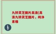 九转灵芝图片高清(高清九转灵芝图片，纯净素雅
