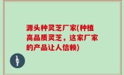 源头种灵芝厂家(种植高品质灵芝，这家厂家的产品让人信赖)
