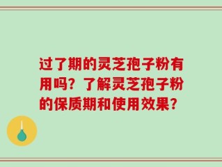 过了期的灵芝孢子粉有用吗？了解灵芝孢子粉的保质期和使用效果？
